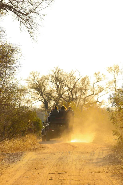 Disparo Vertical Coche Safari Conduciendo Día Soleado — Foto de Stock
