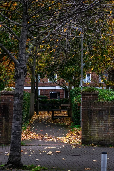 Een Verticaal Shot Van Een Herfstpark Met Stenen Gebouwen Achtergrond — Stockfoto