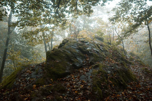 10月にはスール近郊のテューリンゲンの森に緑の木の葉と岩がある森 — ストック写真