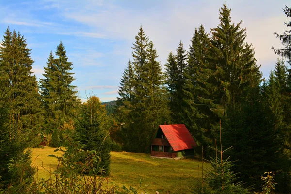 Plano Una Pequeña Casa Madera Acogedora Paisaje Pintoresca Naturaleza Otoño — Foto de Stock