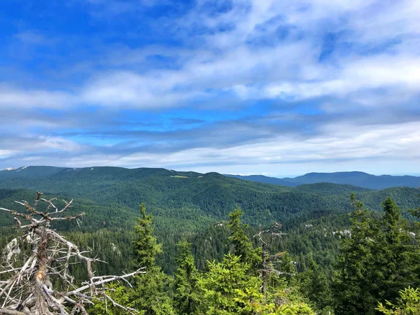 Een Landschap Uitzicht Beboste Bergen Onder Blauwe Lucht — Stockfoto