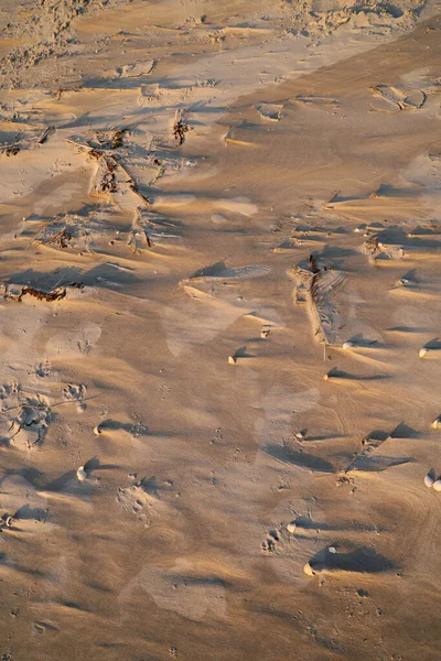 砂のビーチと地面に横たわる多くの小さな貝殻のオーバーヘッドショット — ストック写真