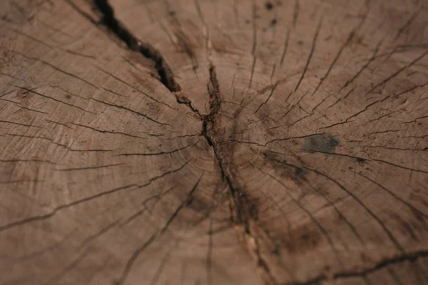 Eski Kahverengi Kesim Ahşabın Yakın Çekim Dokusu Duvar Kağıdı Için — Stok fotoğraf