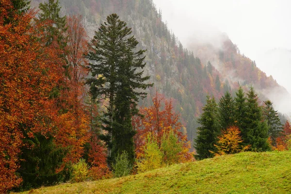 Una Hermosa Toma Los Alpes Allgeau Otoño Oberstdorf Alemania — Foto de Stock