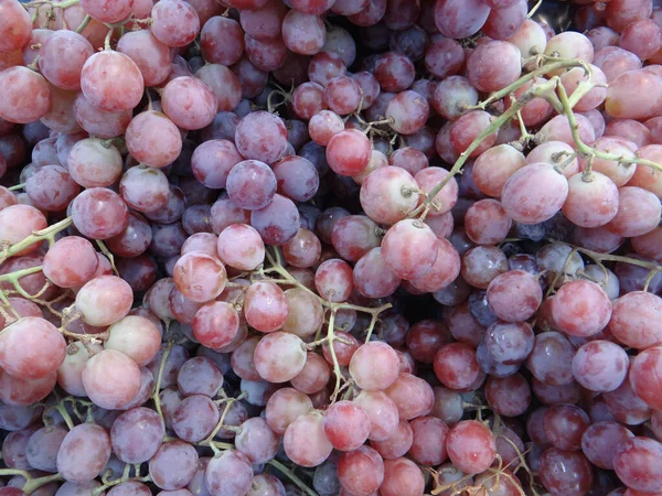 Eine Nahaufnahme Von Einem Reifen Frisch Geernteten Weinbrunch Kann Als — Stockfoto