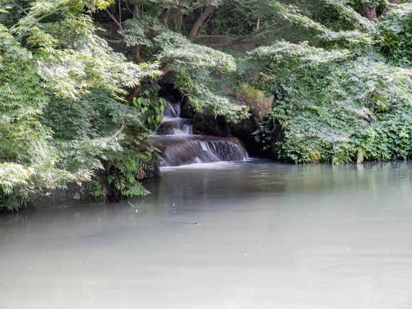 Pequeño Río Cerca Los Árboles Parque Jingashita Keikoku Yokohama Japón —  Fotos de Stock