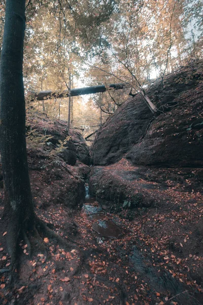 Una Foto Vertical Bosque Eisenack Octubre — Foto de Stock