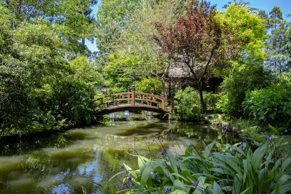 Una Hermosa Toma Puente Sobre Río Jardín Japones Situado Montevideo — Foto de Stock