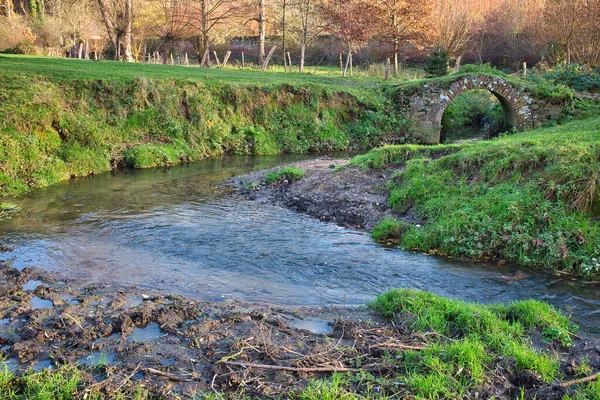 Una Hermosa Toma Río Bosque —  Fotos de Stock