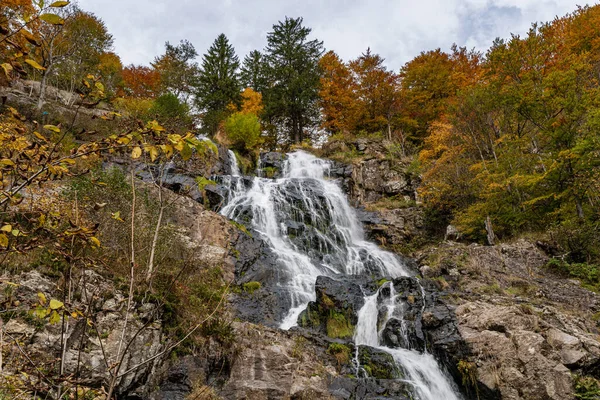 Low Angle Shot Waterfall Forest Autumn — Stock Photo, Image