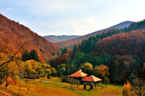 Paisaje Otoñal Del Pueblo Praid Condado Harghita Rumania — Foto de Stock