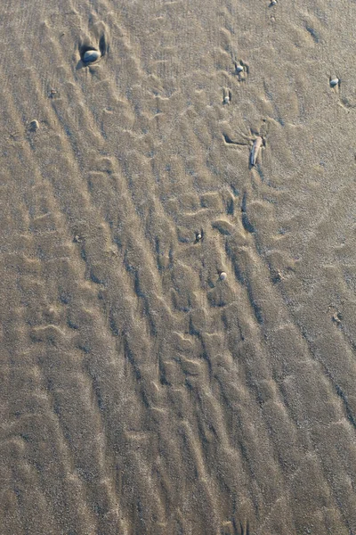 Overhead Vertical Shot Gray Sand Seashore Blavandshuk Jutland Denmark — Stock Photo, Image