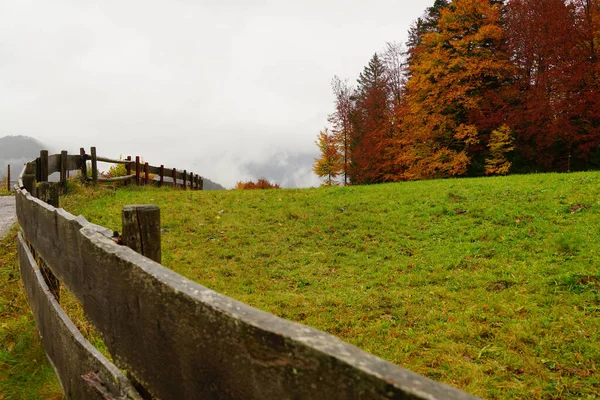 Sonbahar Oberstdorf Almanya Sında Yeşil Bir Çitin Yanında Eğri Bir — Stok fotoğraf