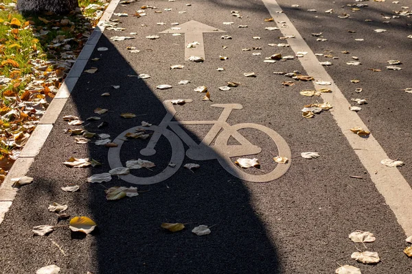 秋天公园里一条空荡荡的自行车道的特写镜头 — 图库照片