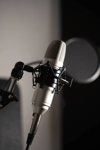 Vertical Closeup Shot Recording Studio Microphone — Stock Photo, Image