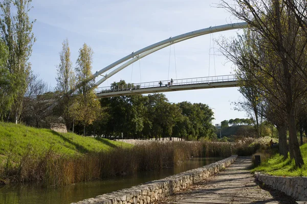 Uma Ponte Pedonal Sobre Rio Parque — Fotografia de Stock