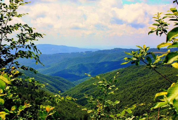 Dağ Ormanının Hava Görüntüsü — Stok fotoğraf