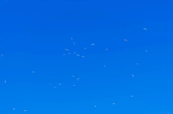 Una Foto Cometas Volando Cielo Azul — Foto de Stock