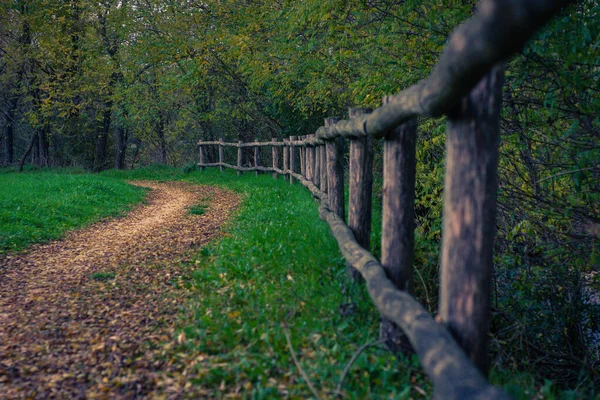 Closeup Shot Wooden Fence Path Autumn Park — Stock Photo, Image