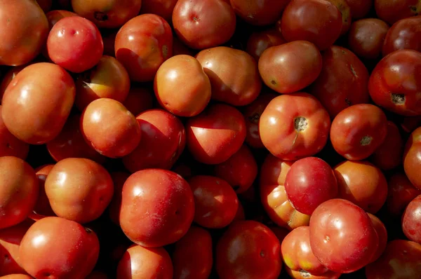 Primer Plano Tomates Rojos Frescos Exhibidos Mercado —  Fotos de Stock