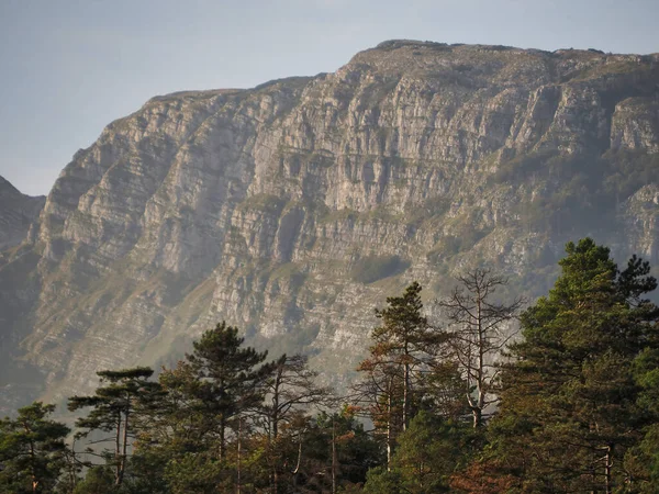 Rock Mountain Seen Foliage Trees — Stock Photo, Image