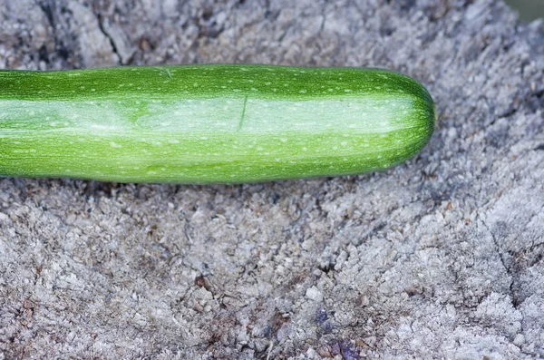 Eine Scharfe Aufnahme Einer Frischen Zucchini Auf Einer Rauen Oberfläche — Stockfoto