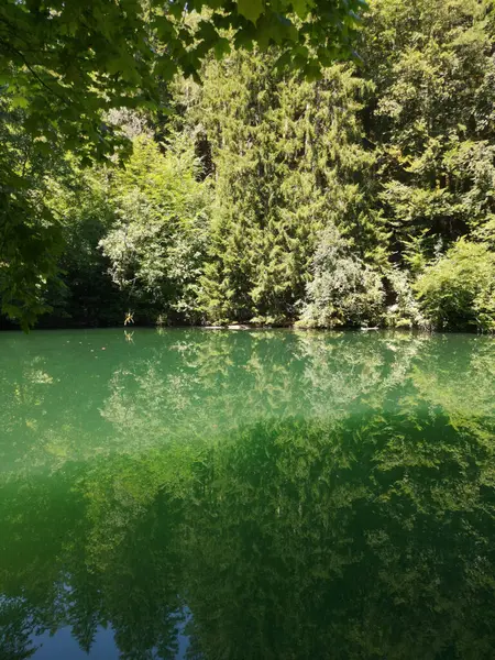Tiro Vertical Lago Verde Fundo Árvores Folhagem — Fotografia de Stock