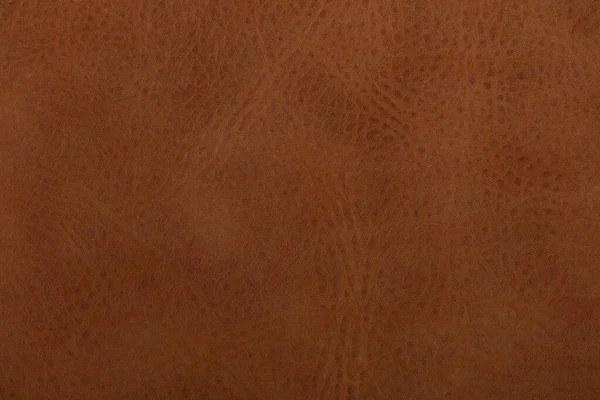 Top View Shot Brown Leather — Stock Photo, Image