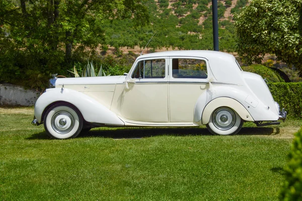 Uma Vista Carro Vintage Branco Gramado — Fotografia de Stock