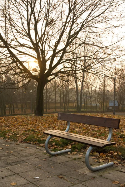 Eine Vertikale Aufnahme Einer Leeren Holzbank Einem Herbstlichen Park — Stockfoto