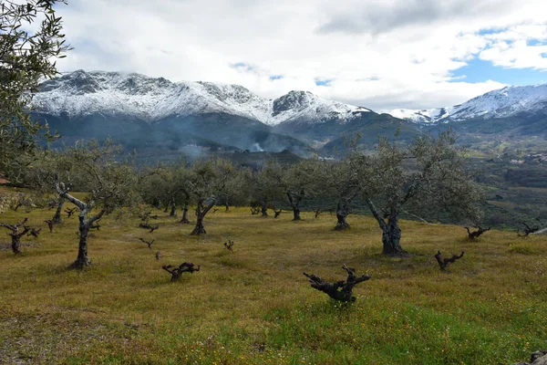 Hermoso Paisaje Rural Con Una Montaña Cubierta Nieve Fondo — Foto de Stock