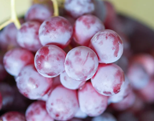 Close Uvas Vermelhas Maduras Recém Colhidas Uma Tigela — Fotografia de Stock