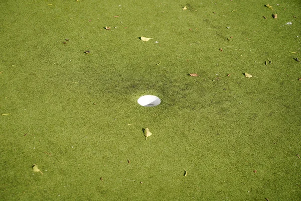 Primer Plano Pequeño Agujero Blanco Campo Golf Herboso —  Fotos de Stock