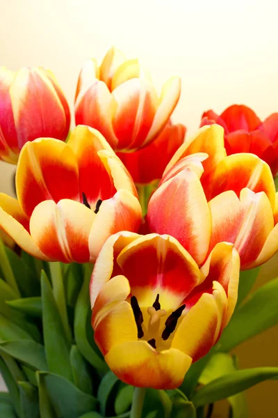 Eine Vertikale Aufnahme Von Tulpen Auf Gelbem Hintergrund — Stockfoto