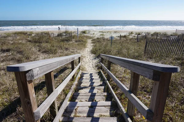 Beau Paysage Sentier Bois Menant Plage Pour Une Journée Détente — Photo