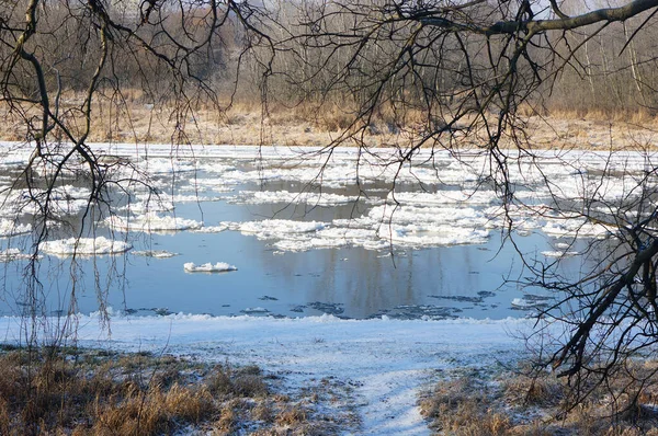 Une Belle Vue Rapprochée Route Glacée Dans Forêt Par Une — Photo