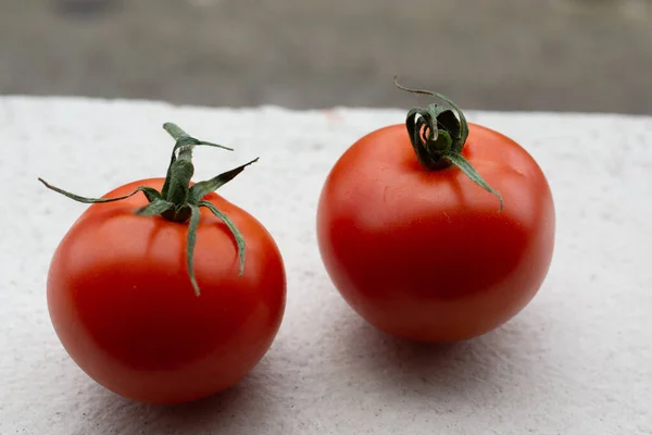 在塑料盒中选择性地集中拍摄西红柿 — 图库照片