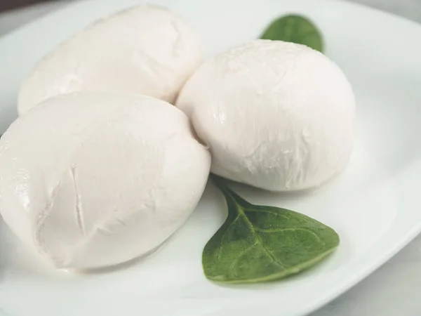 Colpo Tre Palle Mozzarella Piatto Bianco — Foto Stock