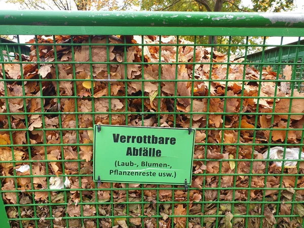 Una Pila Hojas Otoño Detrás Cerca Verde Germanz — Foto de Stock