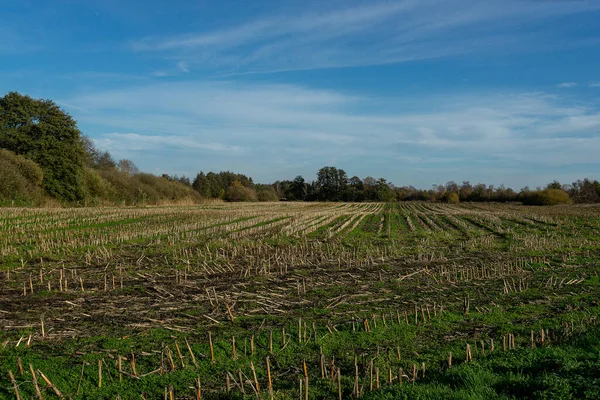 stock image A shot of a harvested field