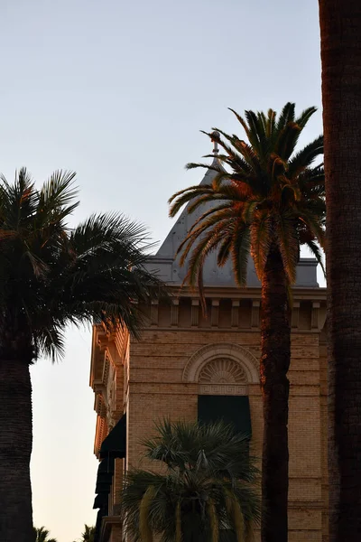Eine Vertikale Aufnahme Tropischer Palmen Die Vor Einem Historischen Gebäude — Stockfoto