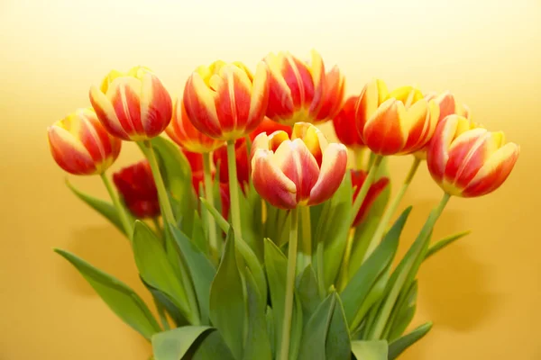 Букет Ярких Тюльпанов Желтом Фоне — стоковое фото
