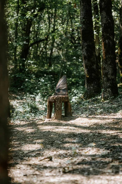 Pionowe Ujęcie Drewnianego Krzesła Lesie — Zdjęcie stockowe