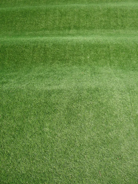Closeup Vertical Shot Cultivated Playground Lawn — Stock Photo, Image