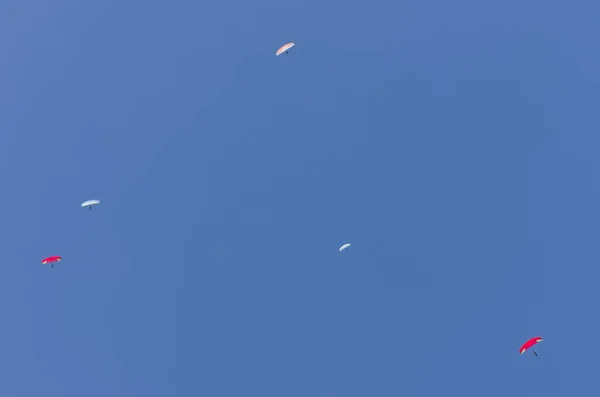 Una Foto Cometas Volando Cielo Azul —  Fotos de Stock