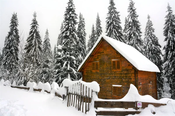 Przytulny Drewniany Dom Otoczony Śnieżnymi Jodłami — Zdjęcie stockowe