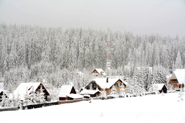 Fascinerande Bild Mysiga Trähus Omgivna Snötäckta Granar — Stockfoto