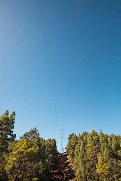 Colpo Verticale Palo Elettrico Una Collina Circondata Alberi Sotto Cielo — Foto Stock