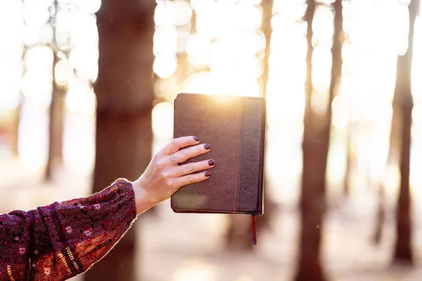 Uma Mão Feminina Segurando Livro Fundo Luz Solar Educação Uma — Fotografia de Stock