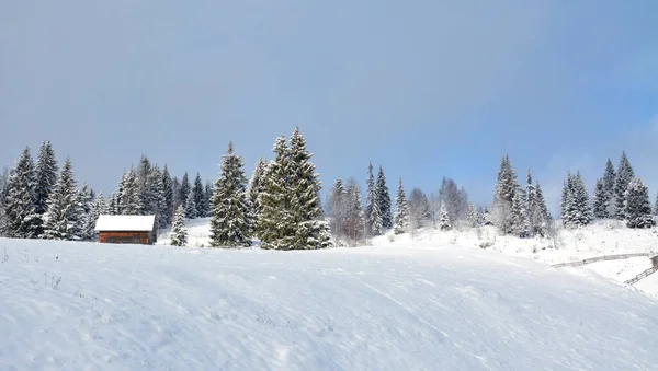 Fascinante Tiro Árboles Cubiertos Nieve Bajo Cielo Azul —  Fotos de Stock